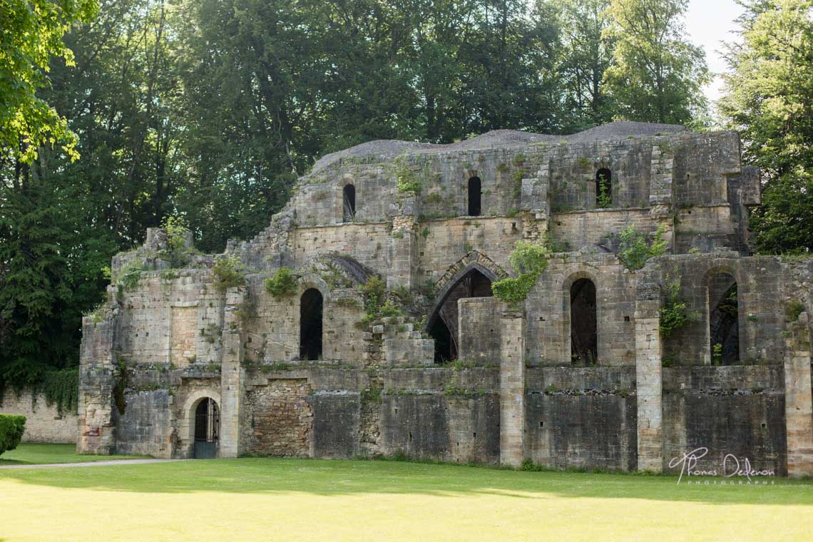 ruines de l'abbaye de trois fontaines